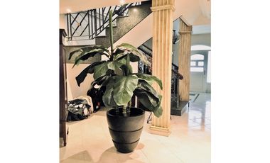 SE VENDE CASA TIPO DUPLEX EN BETHANIA