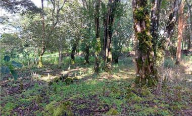 VENDO LOTE DE 6000M2 EN PALMIRA ARRIBA