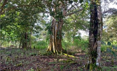 VENDO LOTE DE 6000M2 EN PALMIRA ARRIBA