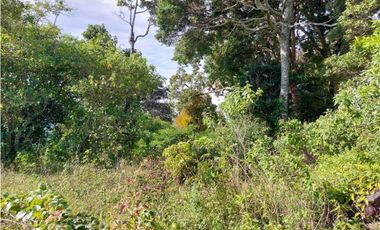 VENDO LOTE DE 6000M2 EN PALMIRA ARRIBA