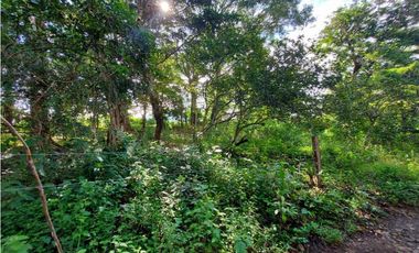 VENDO LOTE DE 6000M2 EN PALMIRA ARRIBA