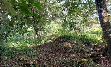 VENDO LOTE DE 6000M2 EN PALMIRA ARRIBA