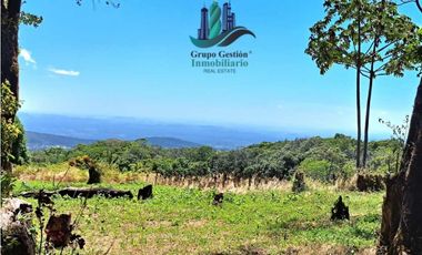 VENDO LOTE DE 6000M2 EN PALMIRA ARRIBA