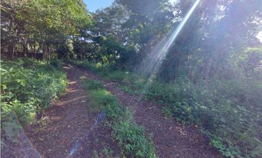 VENDO LOTE DE 6000M2 EN PALMIRA ARRIBA