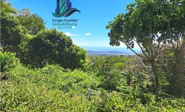 VENDO LOTE DE 6000M2 EN PALMIRA ARRIBA