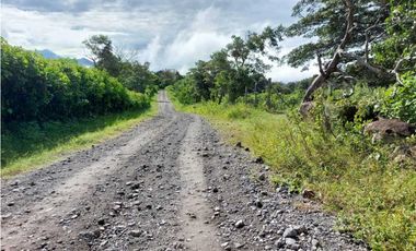 VENDO LOTE DE 6000M2 EN PALMIRA ARRIBA