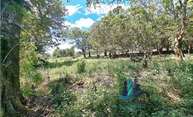 VENDO LOTE DE 6000M2 EN PALMIRA ARRIBA