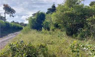 VENDO LOTE DE 6000M2 EN PALMIRA ARRIBA