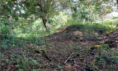 VENDO LOTE DE 6000M2 EN PALMIRA ARRIBA