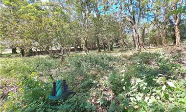 VENDO LOTE DE 6000M2 EN PALMIRA ARRIBA