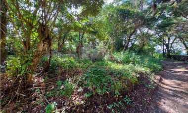 VENDO LOTE DE 6000M2 EN PALMIRA ARRIBA