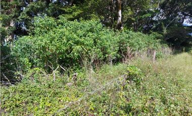 VENDO LOTE DE 6000M2 EN PALMIRA ARRIBA