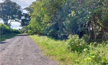 VENDO LOTE DE 6000M2 EN PALMIRA ARRIBA