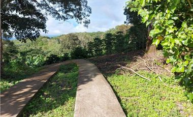 VENDO LOTE DE 6000M2 EN PALMIRA ARRIBA