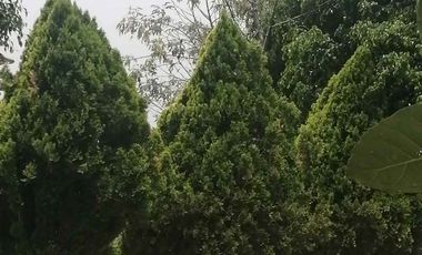 TERRENO EN VENTA EN CIUDAD BRISA, NAUCALPAN DE JUAREZ