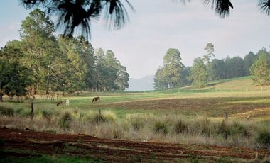 Rancho EL CALATE II en Juanacatlán a 15 min. de Tapalpa