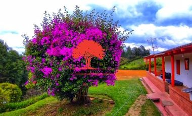 Casa-Finca en Venta Ubicado en GUARNE Codigo 2468