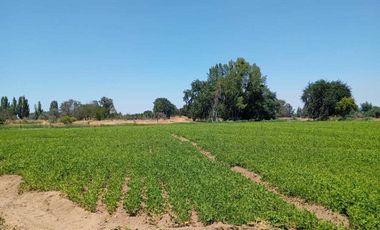 Parcela en venta en ÑIQUÉN