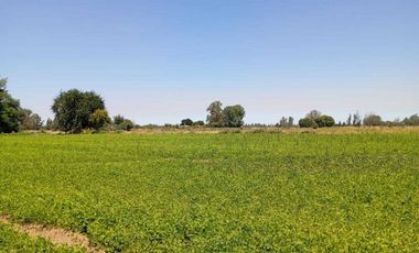 Parcela en venta en ÑIQUÉN