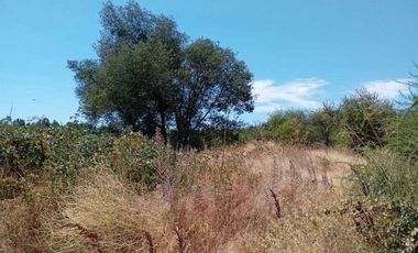 Parcela en venta en ÑIQUÉN