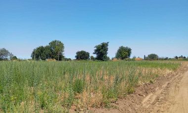 Parcela en venta en ÑIQUÉN