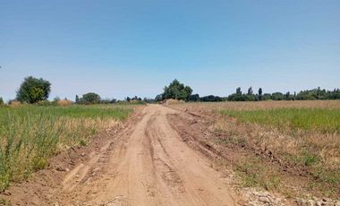 Parcela en venta en ÑIQUÉN