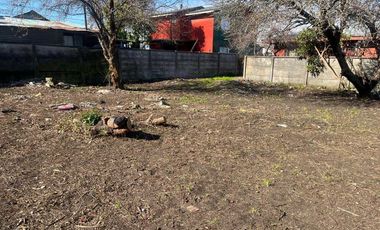 Parcela en venta en ARAUCO