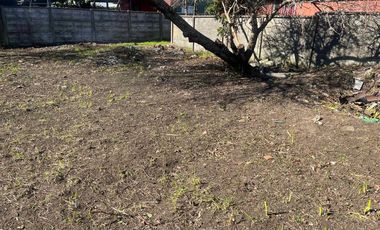 Parcela en venta en ARAUCO