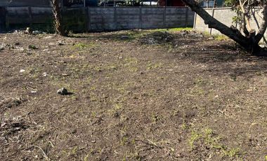 Parcela en venta en ARAUCO