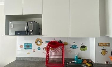 Departamento en Arriendo en papudo laguna