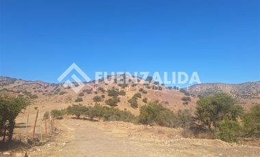 Parcela en Venta en Lonquen Sur El papagayo