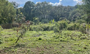 Terreno comercial en venta en Nueva Santa María