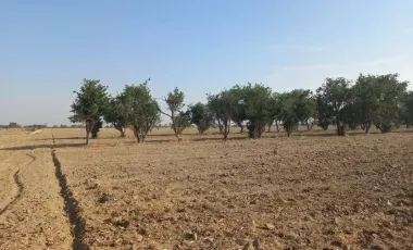 Terreno en Venta en Huejotzingo Centro, Huejotzingo, Puebla