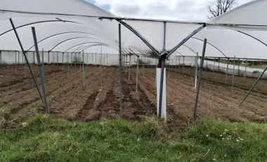 Terreno en Venta en San Jeronimo Tianguismanalco, San Martín Texmelucan, Puebla