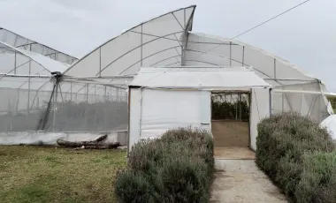 Terreno en Venta en San Jeronimo Tianguismanalco, San Martín Texmelucan, Puebla
