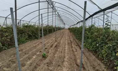 Terreno en Venta en San Jeronimo Tianguismanalco, San Martín Texmelucan, Puebla