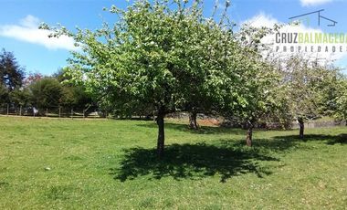 Sitio en Arriendo en Línea Nueva