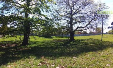 Parcela en Arriendo en Línea Nueva