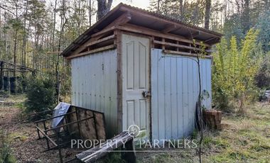 Terreno con estero y bosque nativo Panguilelfun, Panguipulli.