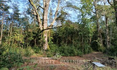 Terreno con estero y bosque nativo Panguilelfun, Panguipulli.