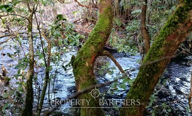 Terreno con estero y bosque nativo Panguilelfun, Panguipulli.