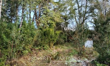 Terreno con estero y bosque nativo Panguilelfun, Panguipulli.