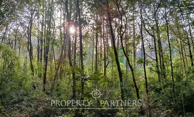 Terreno con estero y bosque nativo Panguilelfun, Panguipulli.