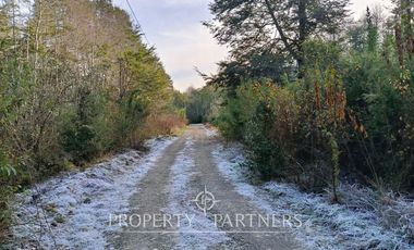 Terreno con estero y bosque nativo Panguilelfun, Panguipulli.