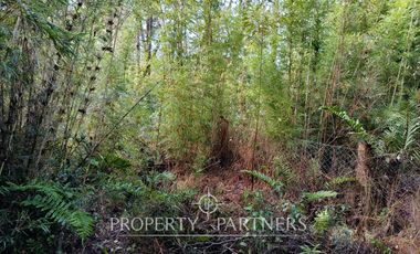 Terreno con estero y bosque nativo Panguilelfun, Panguipulli.