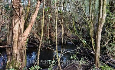 Terreno con estero y bosque nativo Panguilelfun, Panguipulli.