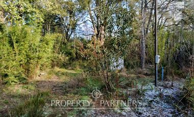 Terreno con estero y bosque nativo Panguilelfun, Panguipulli.