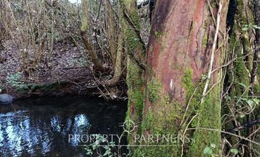 Terreno con estero y bosque nativo Panguilelfun, Panguipulli.