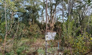 Terreno con estero y bosque nativo Panguilelfun, Panguipulli.