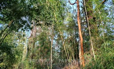 Terreno con estero y bosque nativo Panguilelfun, Panguipulli.